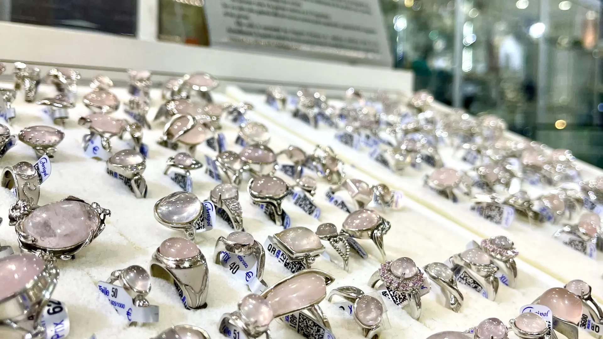 DanslesYeuxdeGaia-MarineR©OT3M (12)