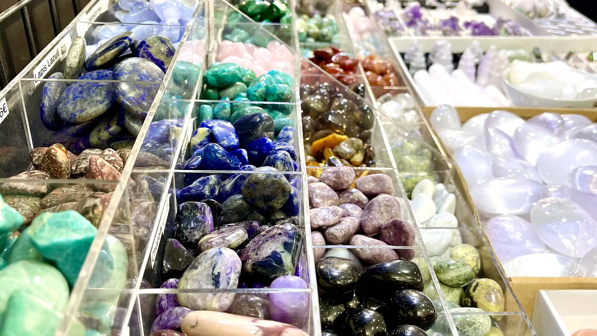 DanslesYeuxdeGaia-MarineR©OT3M (32)