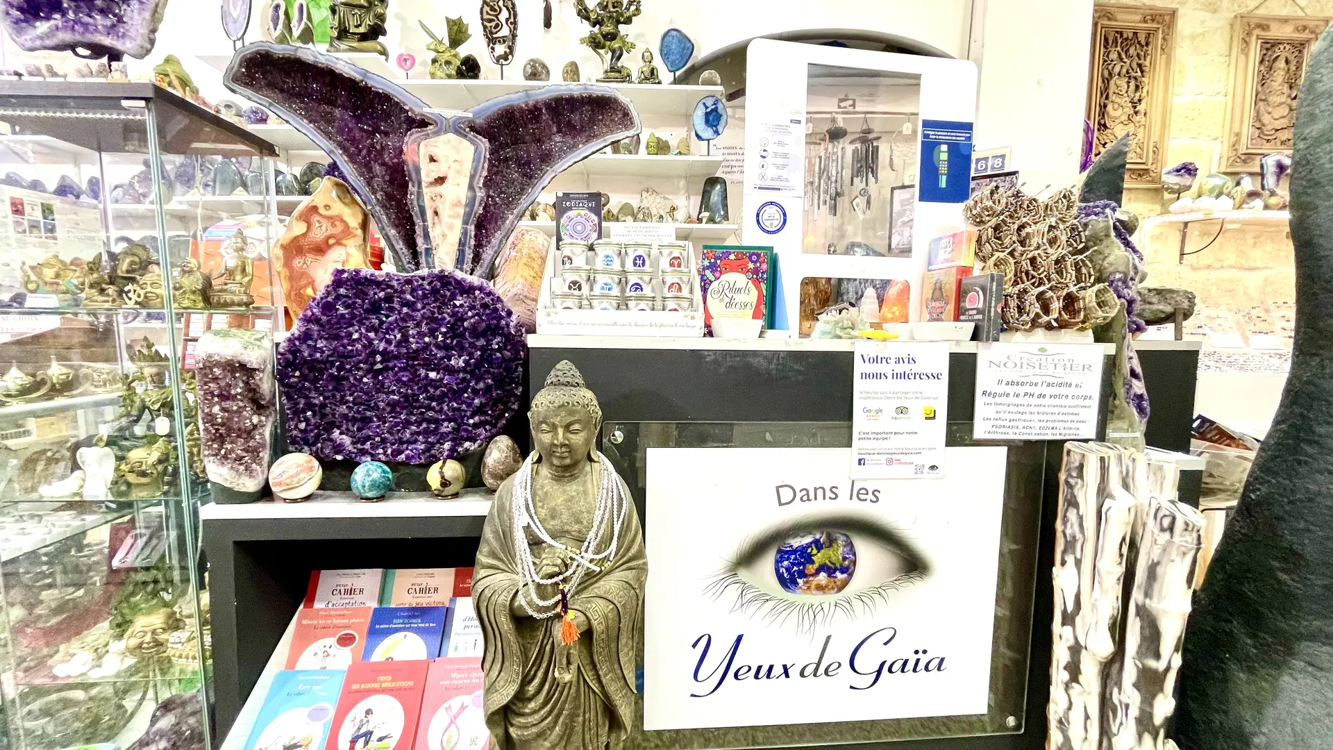 DanslesYeuxdeGaia-MarineR©OT3M (6)