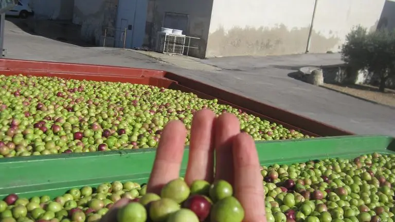 Domaine-du-Chapitre---1