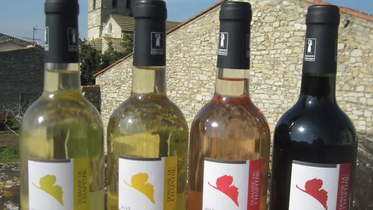 Domaine-du-Chapitre---2