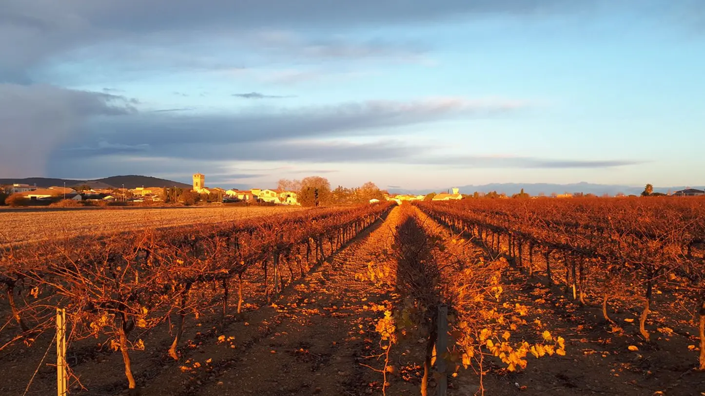 Domaine-du-Chapitre---4