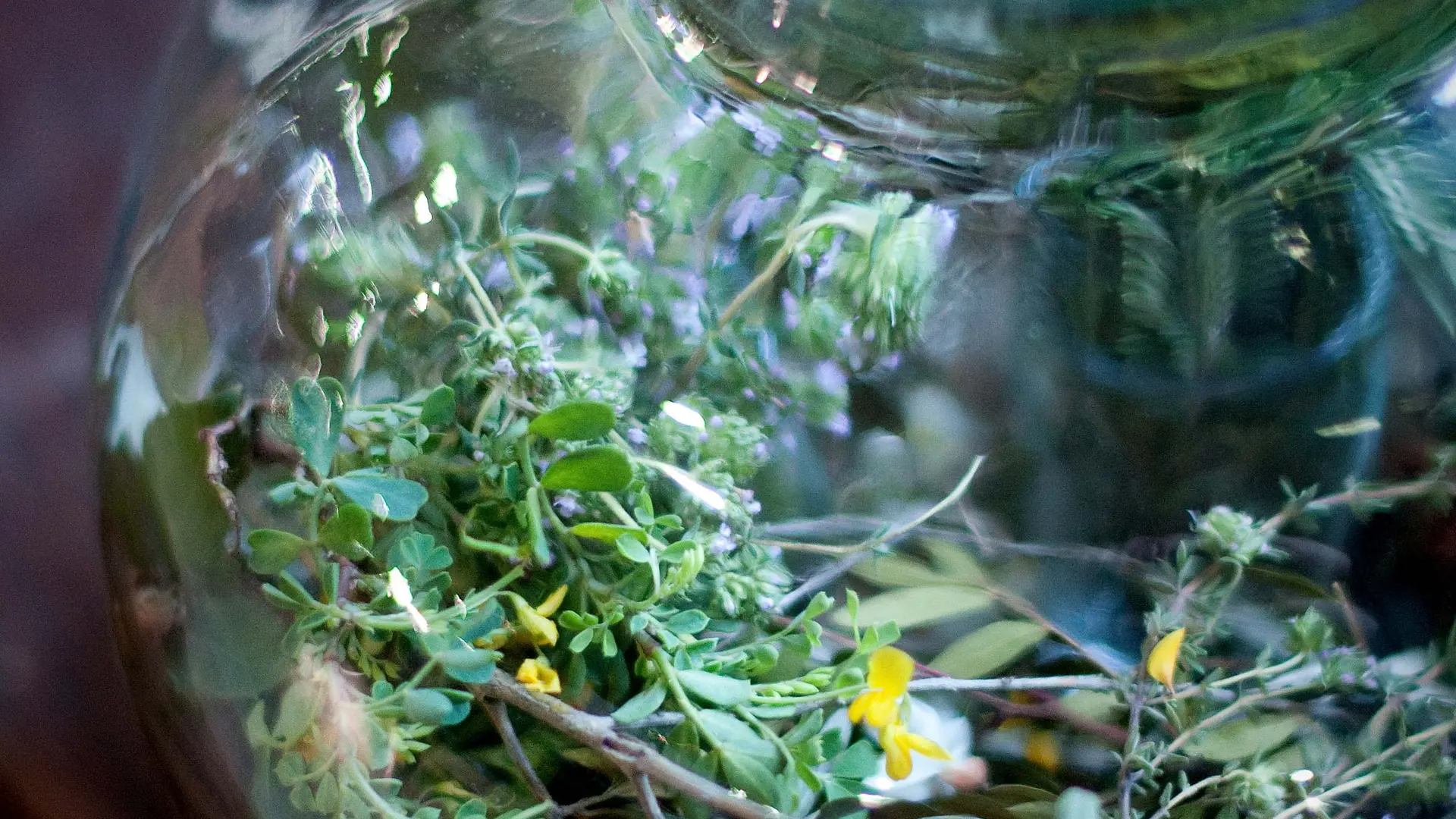 ECOLEDUVIN_SAPORTA_OTM_TSF_91