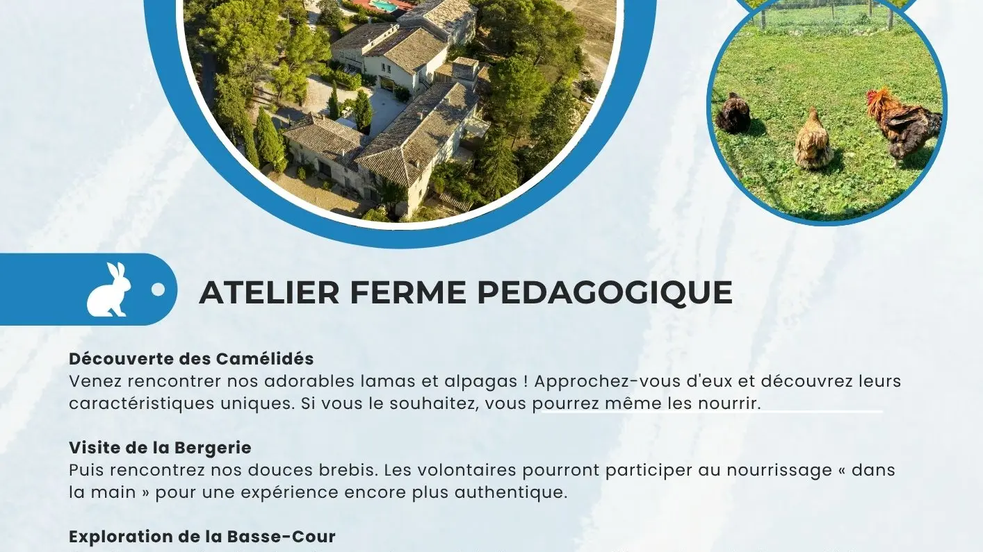 EXPERIENCE UNIQUE : devenez soigneur d’un jour ! - 1
