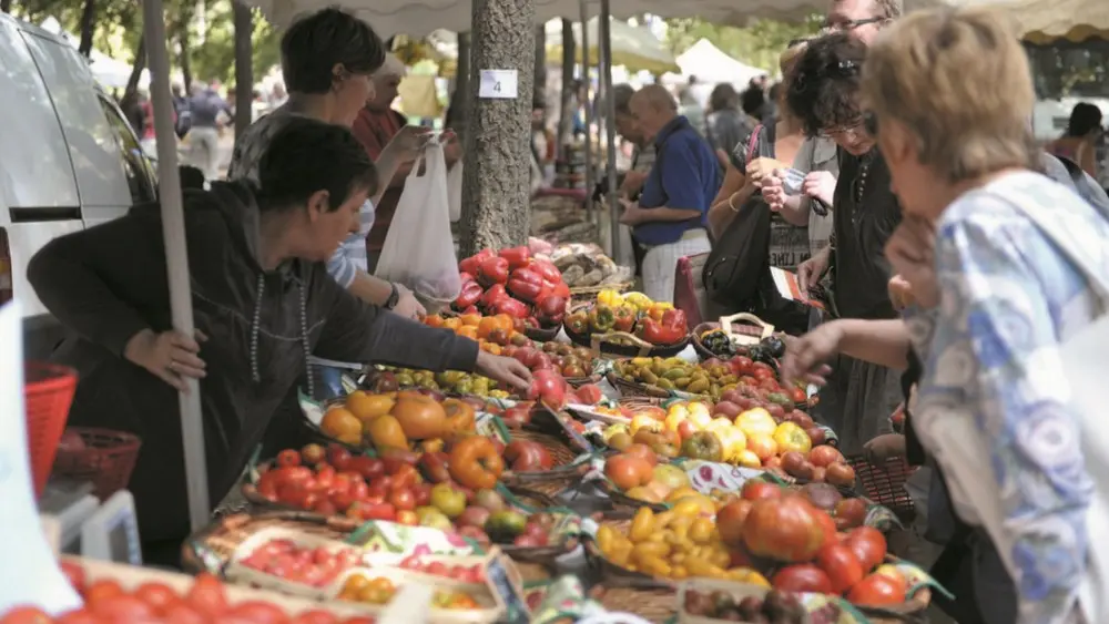 Fête de la tomate