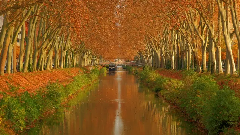 France - Canal du midi autumn @PyrosXav