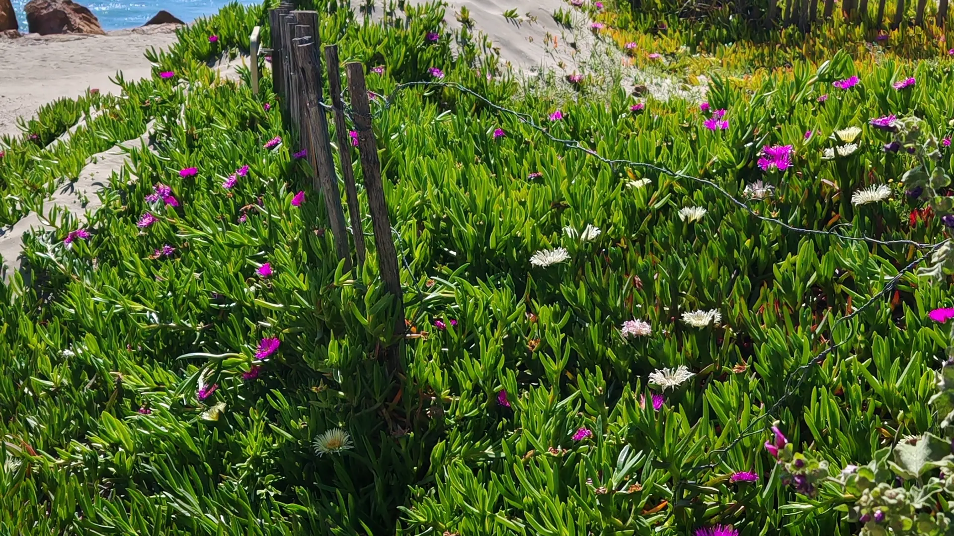 Sentier littoral