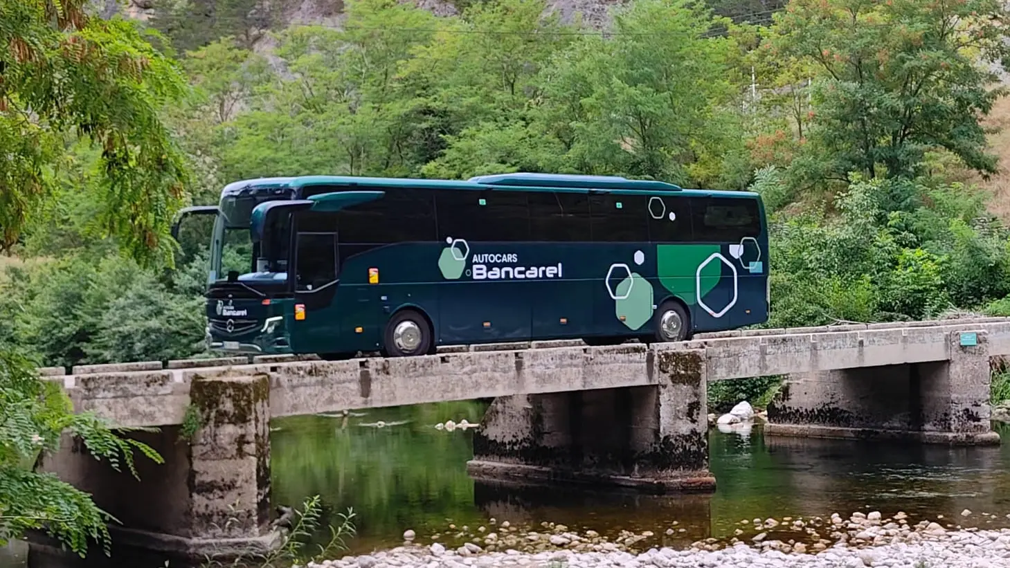 IMG-20250828-WA0006(1)