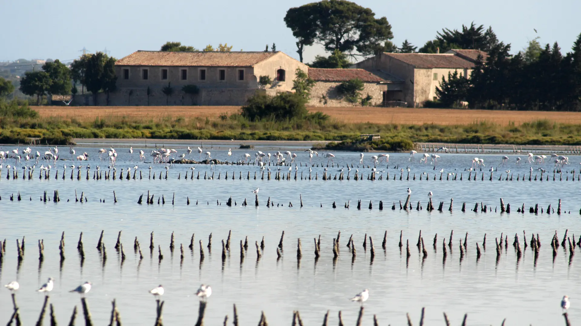 PR05 - LES SALINES