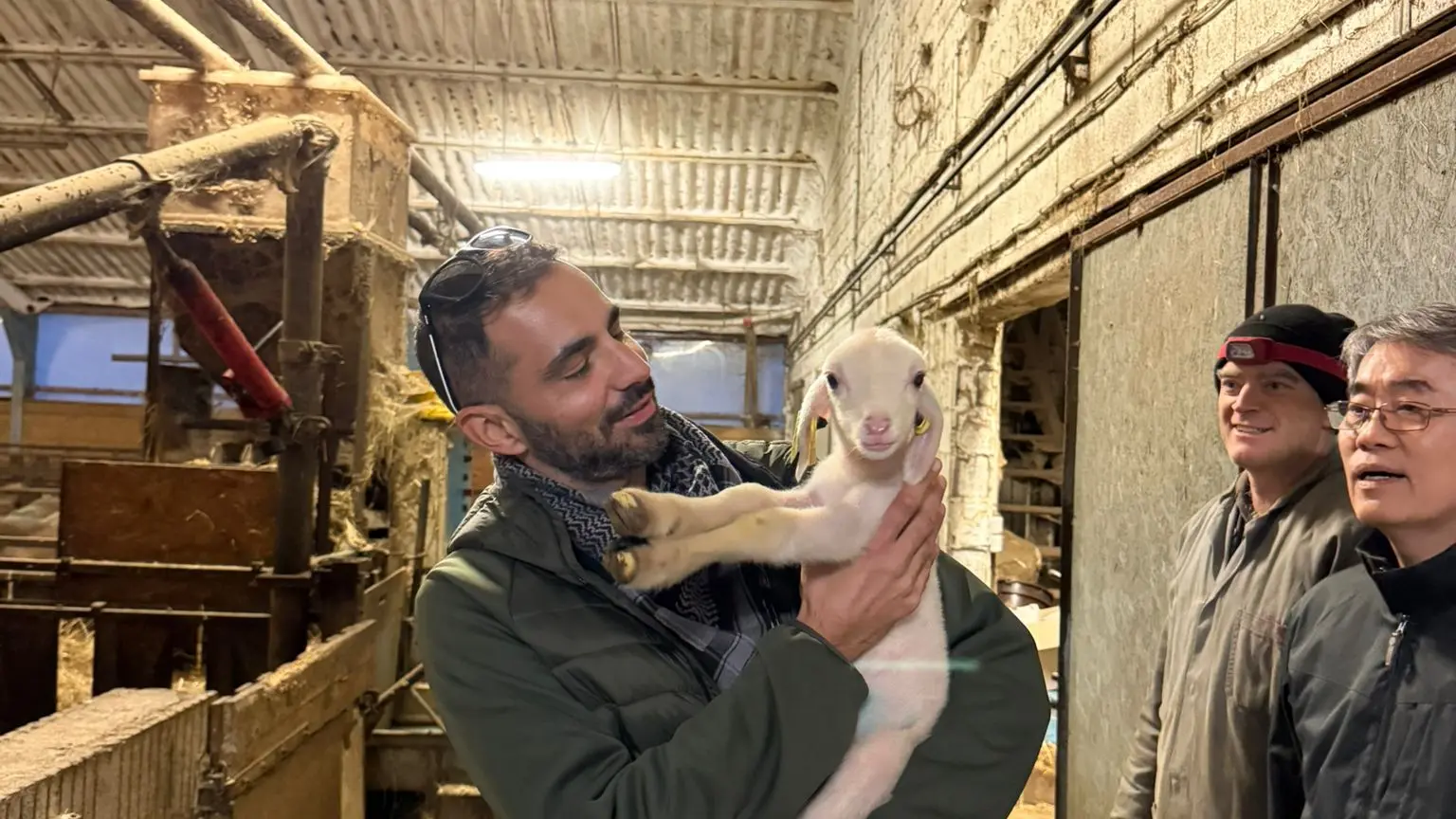 Immersion dans une ferme du Larzac