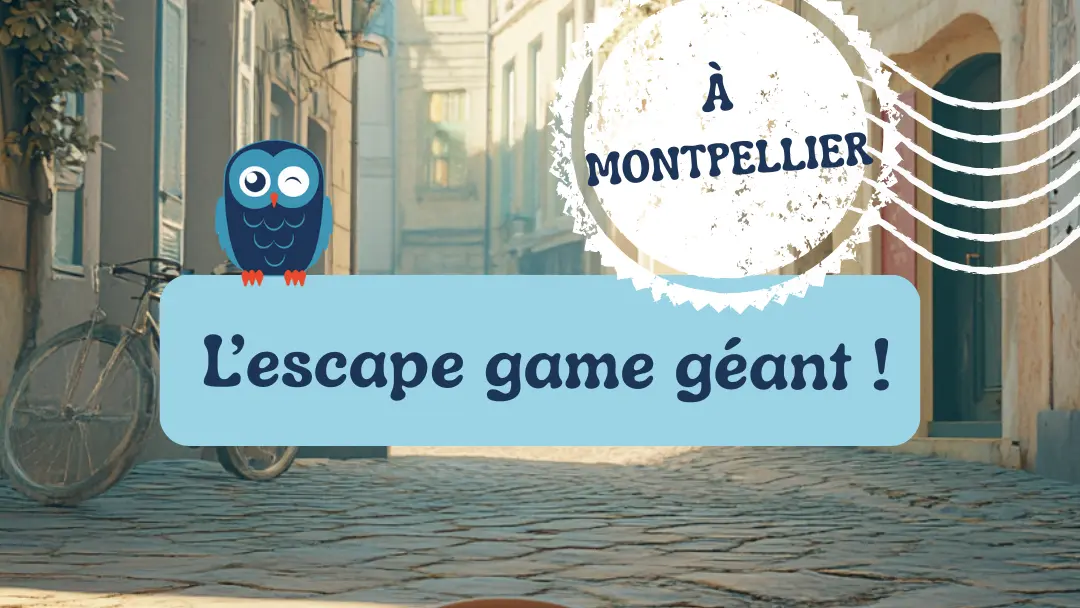 Visuel enquête Montpellier