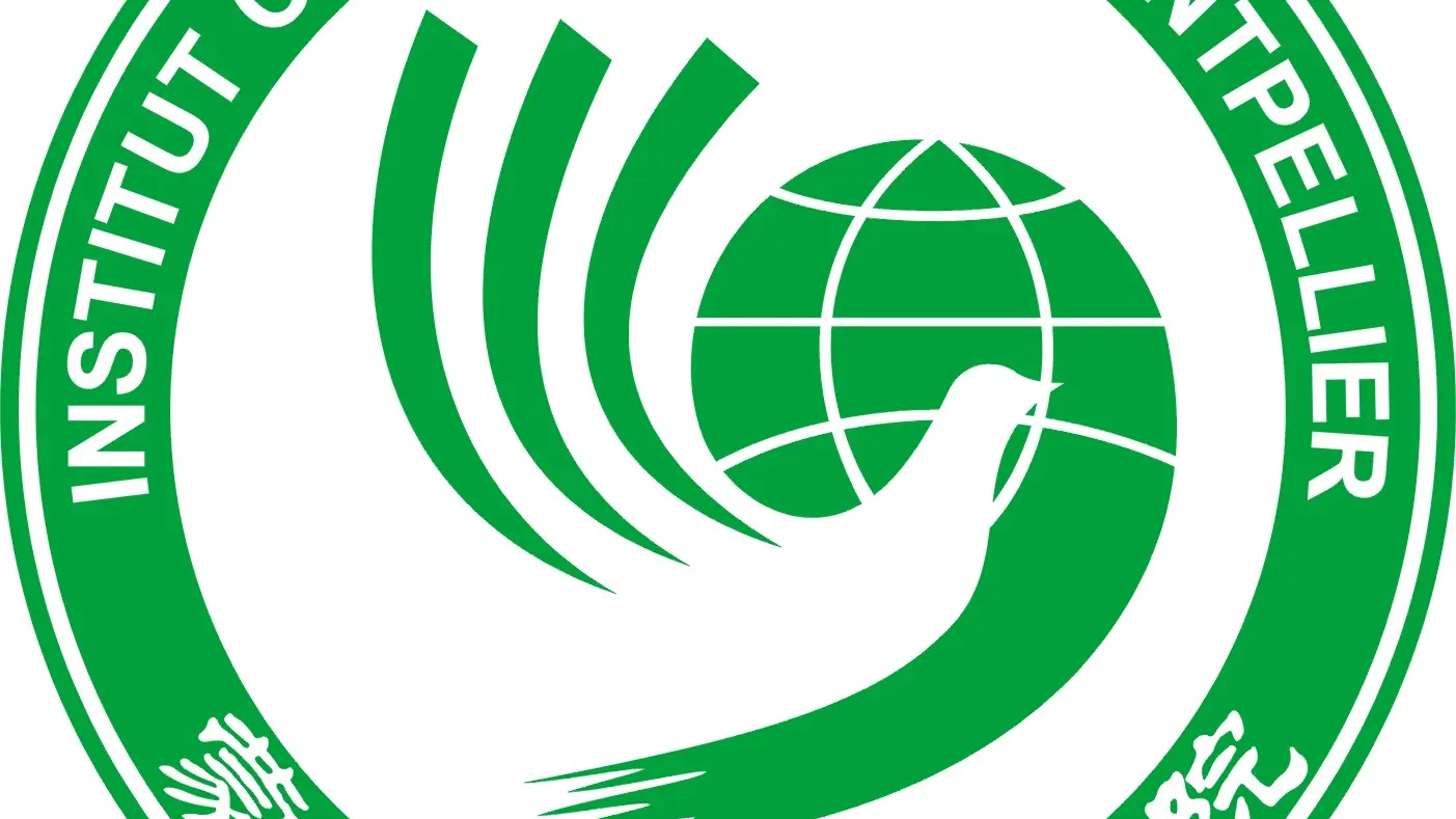 Institut Confucius Logo