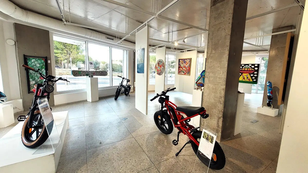 La galerie électrique - ©M.HESS OTC3M (7)