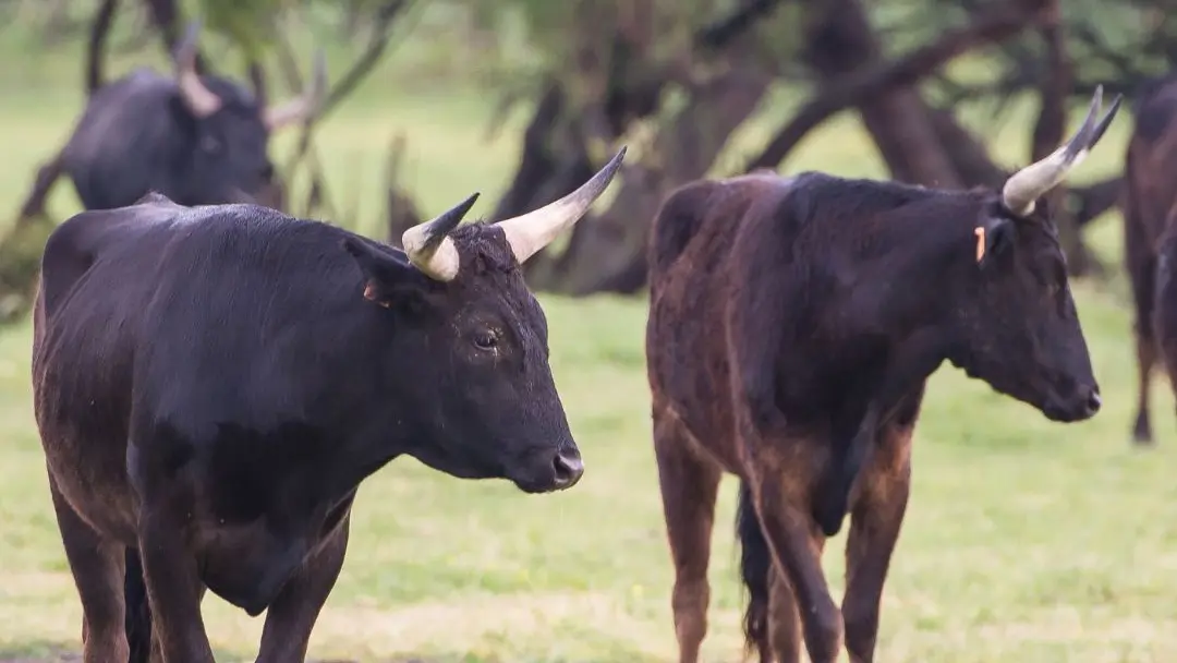 Sans titre (Publication Instagram (4:5)) - 2