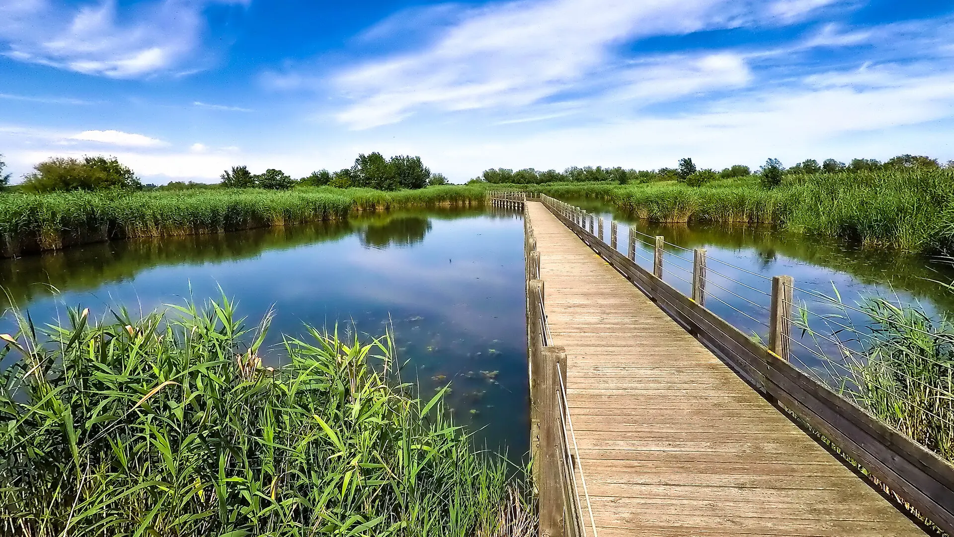Maison de la Nature Lattes