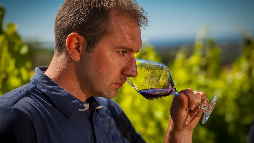 Mas du Novi-Montagnac_4