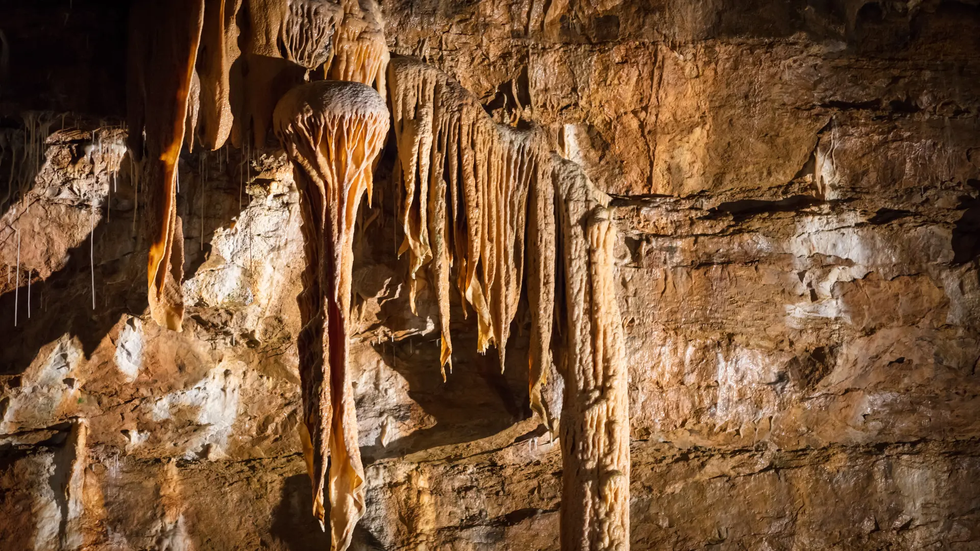 Grotte de Trabuc, Mialet