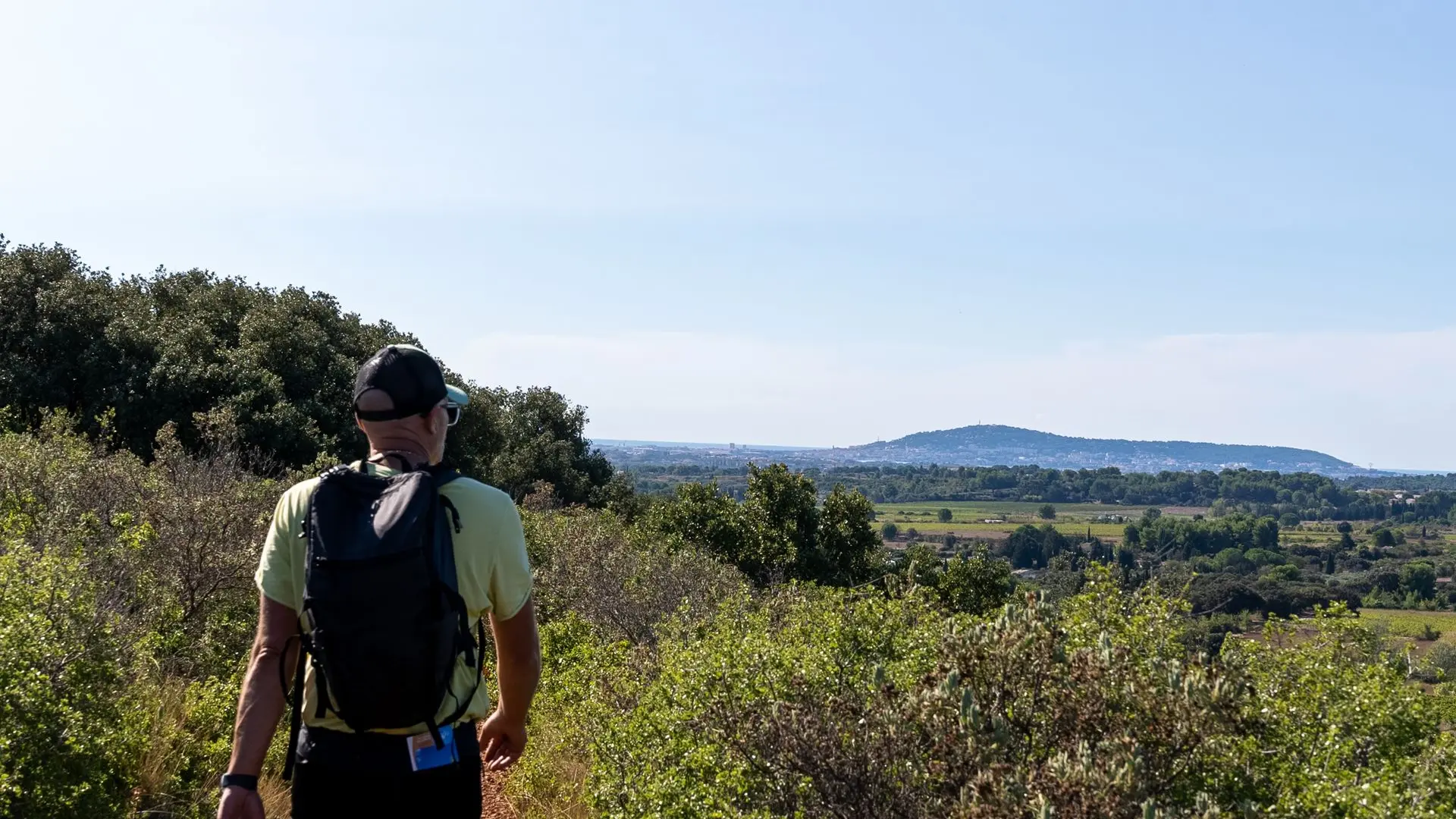 Montbazin - rando collines de la Moure-7 © M. Ricard - OT Thau