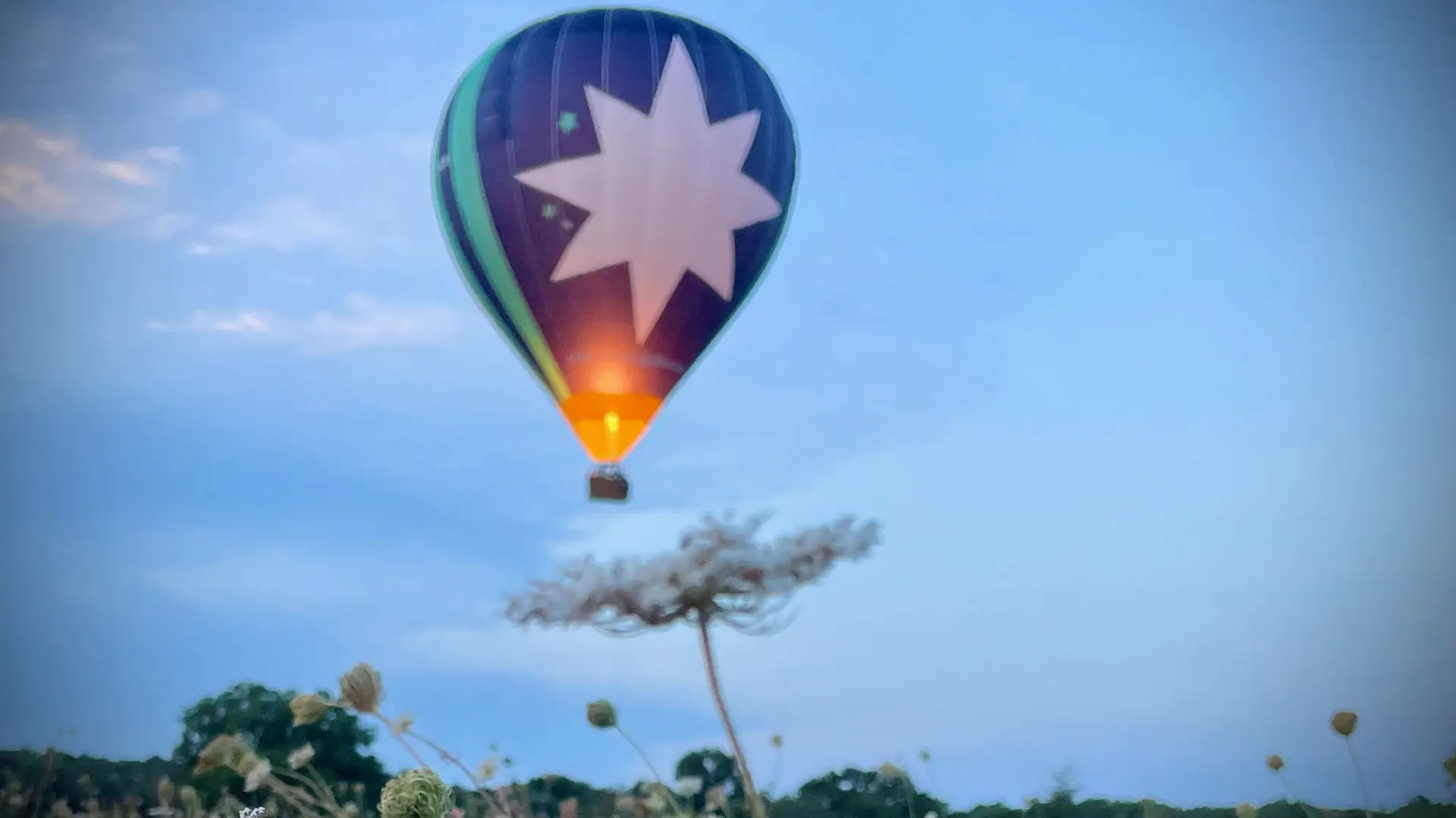 Montgolfiere sur une fleur