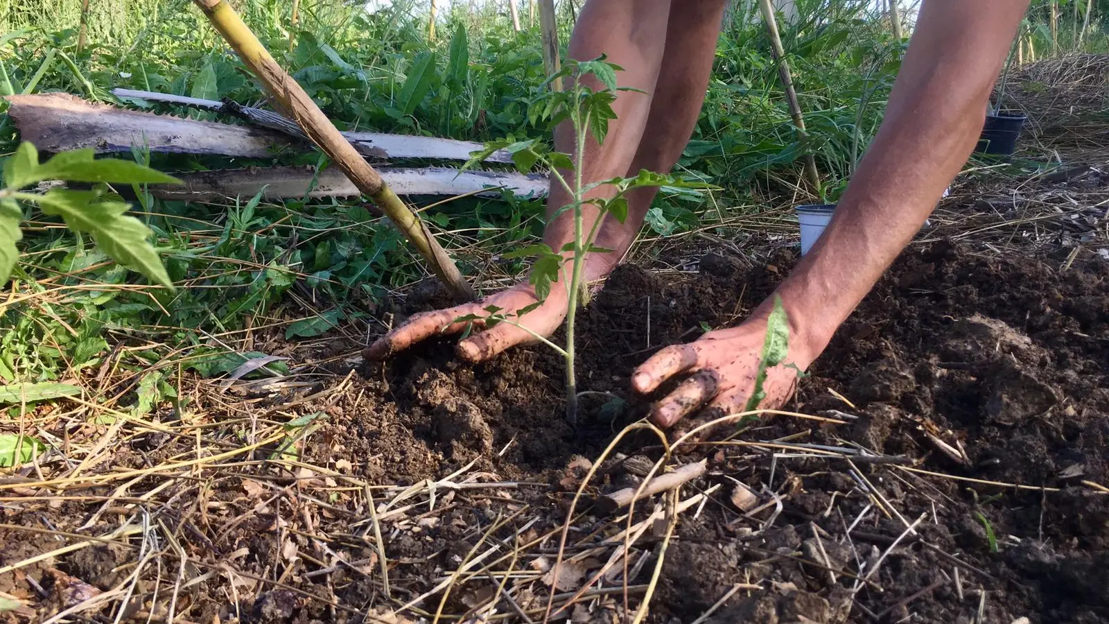 Atelier Permaculture Potager