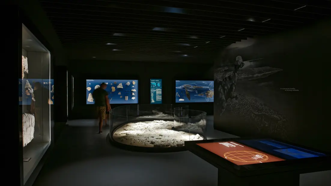 Parcours Sciences de la Terre