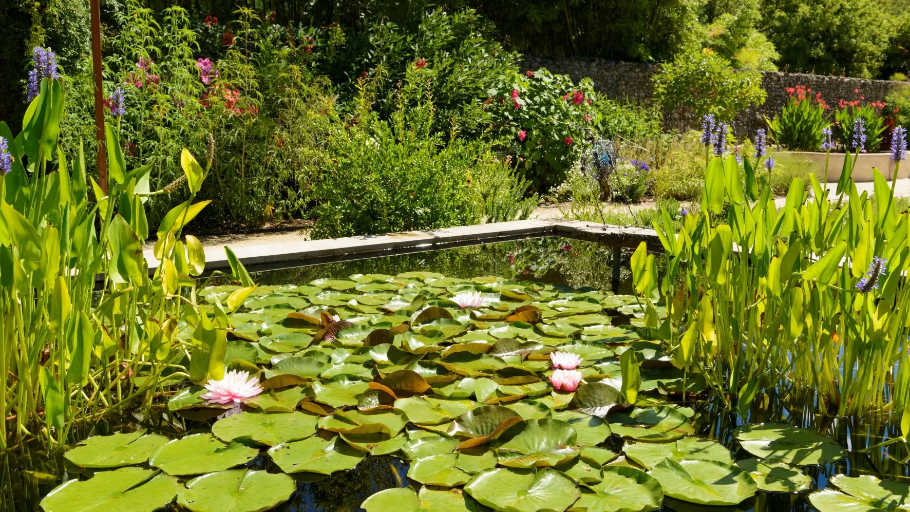 Photo-Bambouseraie-Jardin-des-bassins-Eugène-5