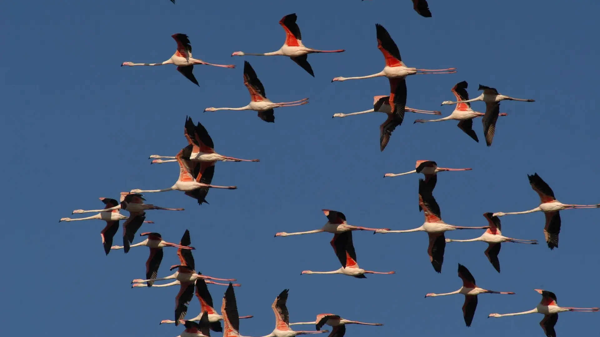 Rando des Salines0002 ©Ville de Villeneuve-Maguelone