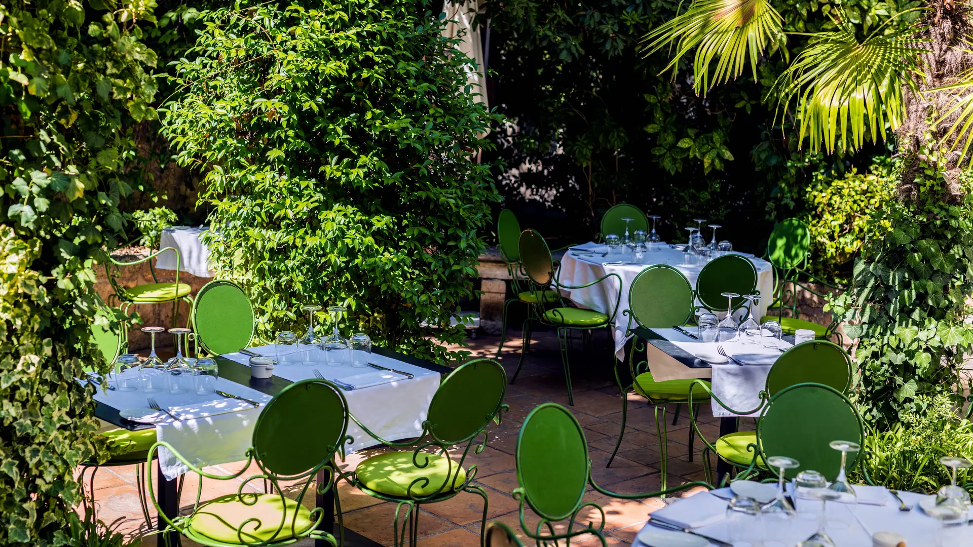 Restaurant Le Petit Jardin Terrasse - 1