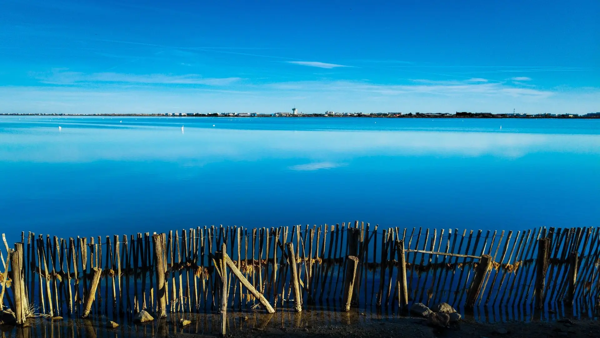 Reserve_Naturelle_du_Mejean_-_EXCLUSIF_ADT34_E_Brendle_1