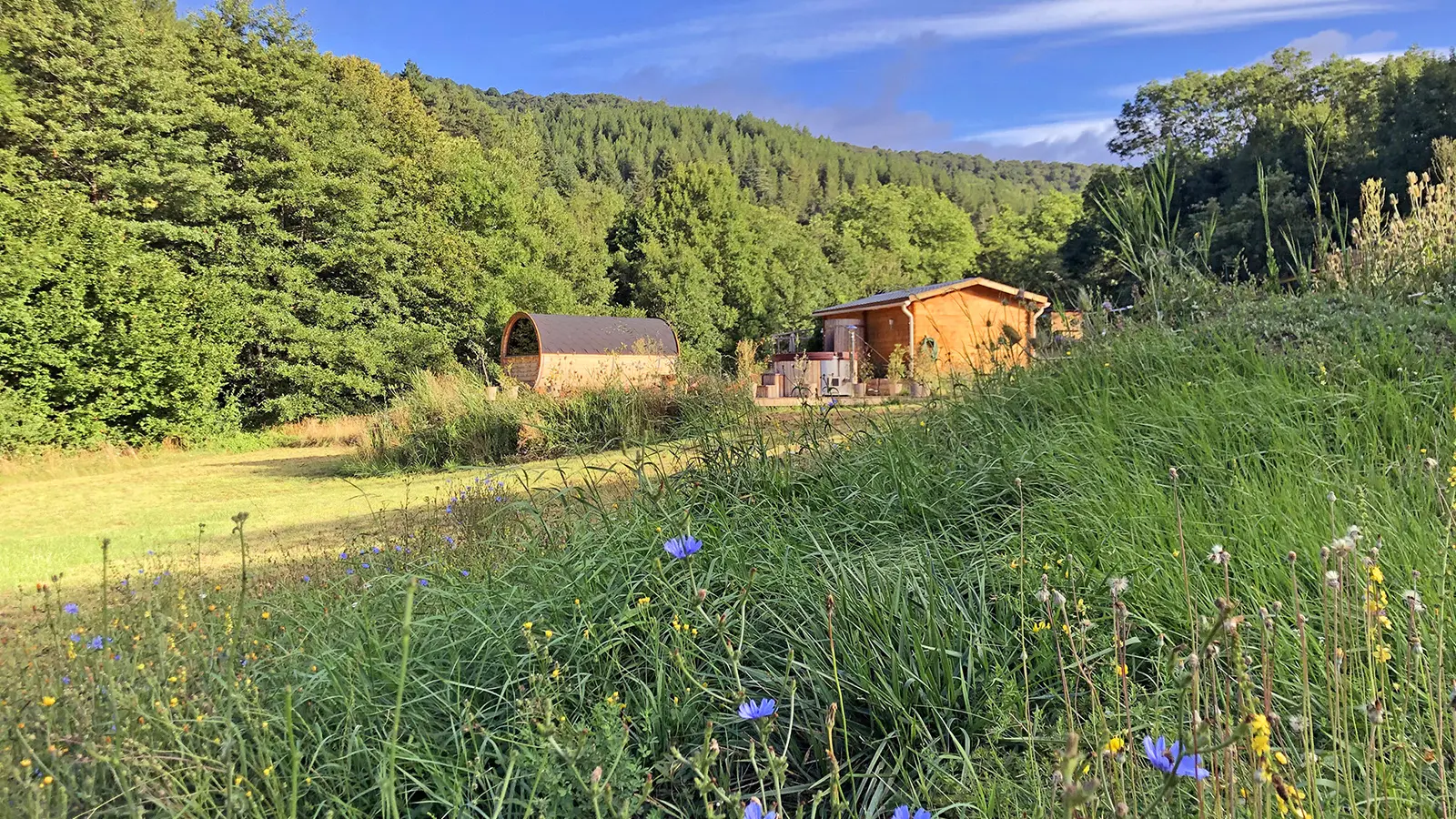 Le terrain et le spa