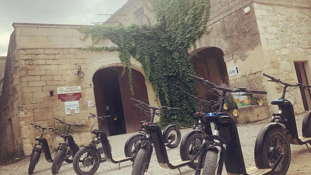 DOMAINE GUINAND - OENO TOUR GUIDE EN TROTINETTE ELECTRIQUE