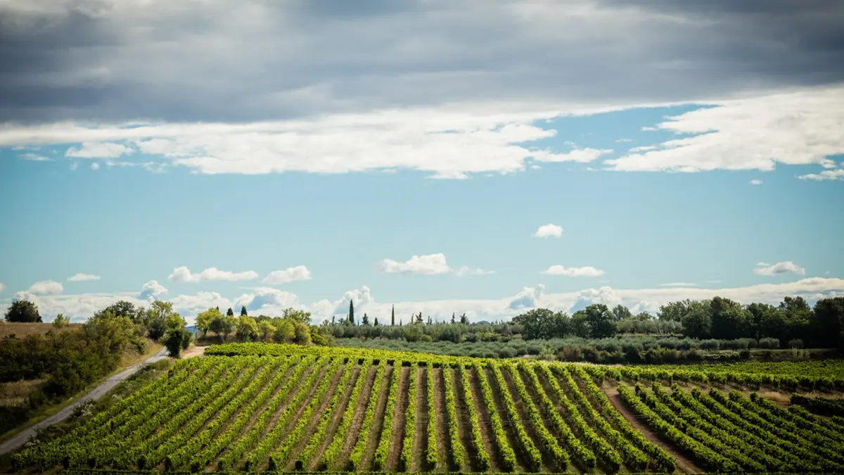 colines du Bourdic - Broudic -