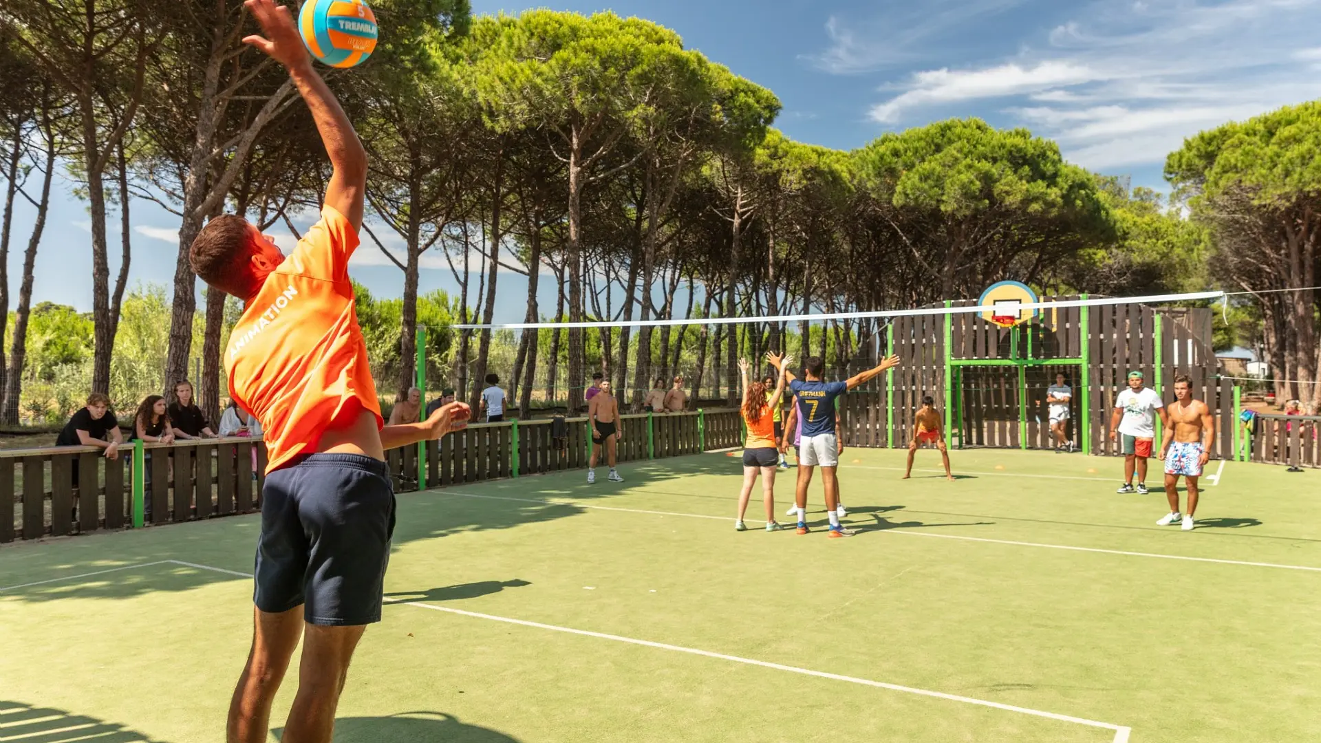 Volley