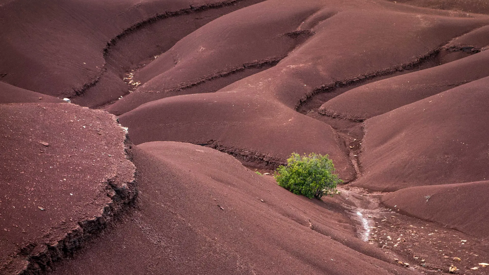 Canyon des ruffes