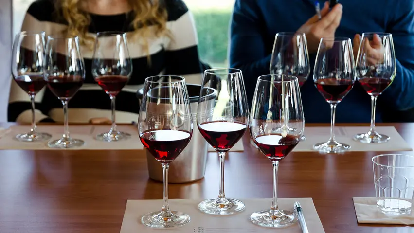 Wine tasting