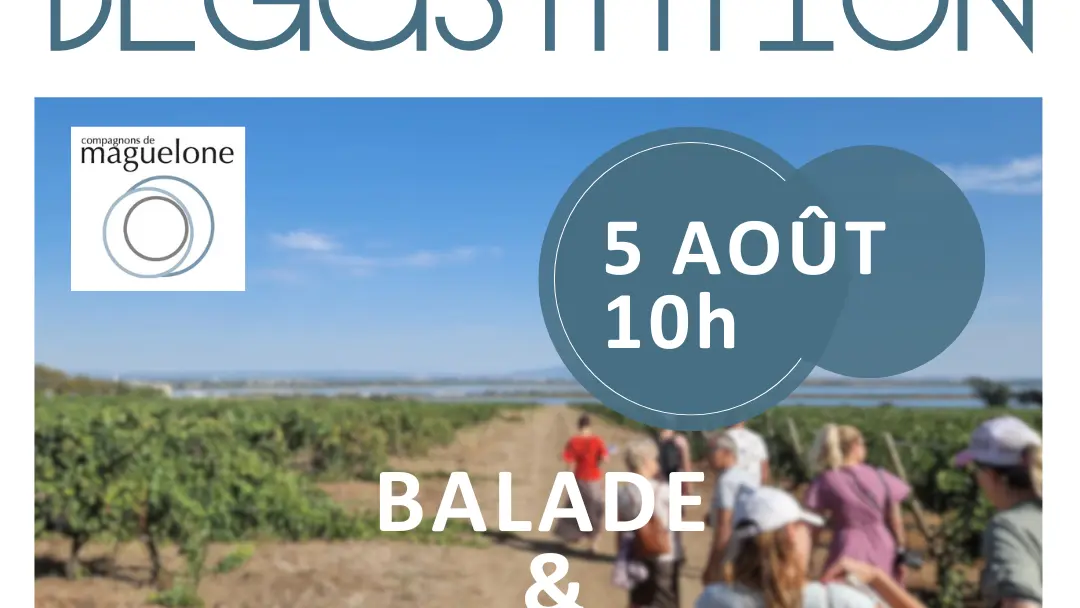 carré  mardi dégust été 2025  (Publication Instagram) - propa 1