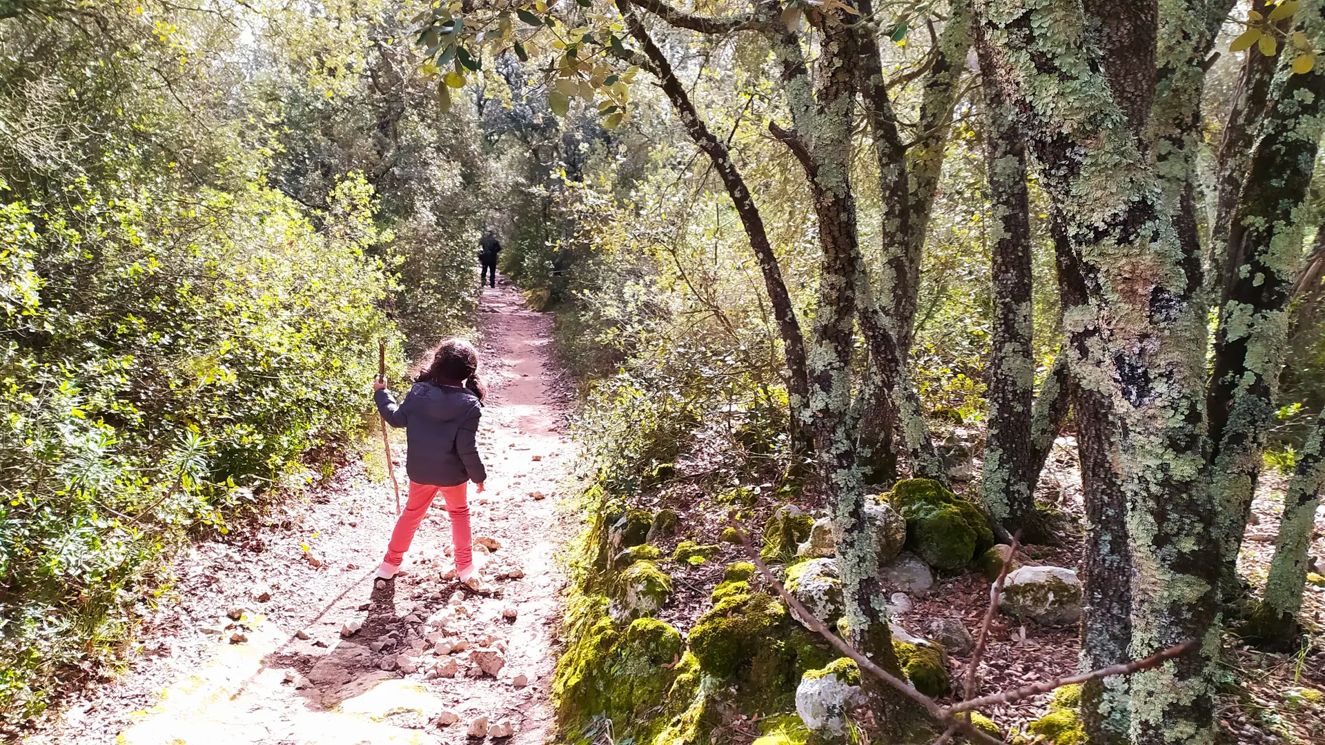 Carrières de Beaulieu Sussargues