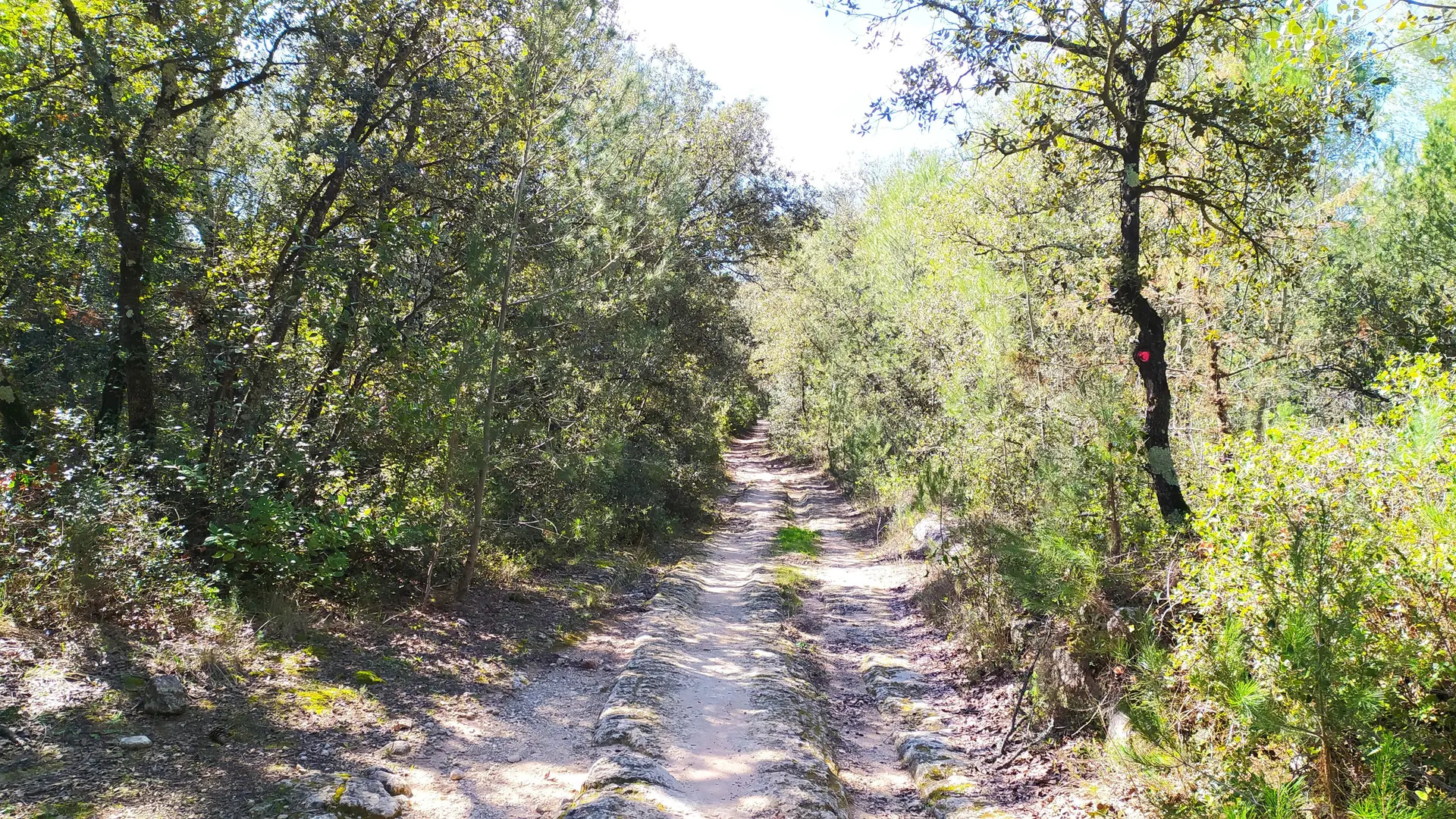 Carrières de Beaulieu Sussargues