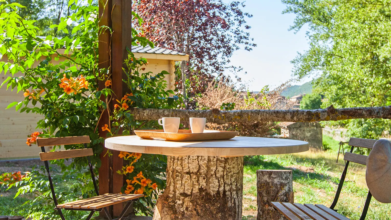 Chalet Pelardon terrasse
