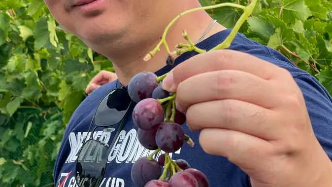 degustation-vin-terrasse-du-larzac