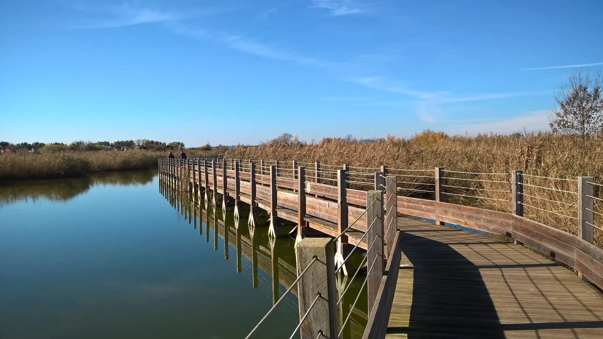 passerelle au dessus de l'eau