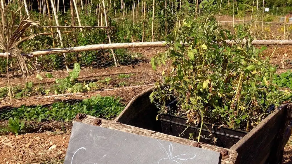 Visite de fermes en permaculture