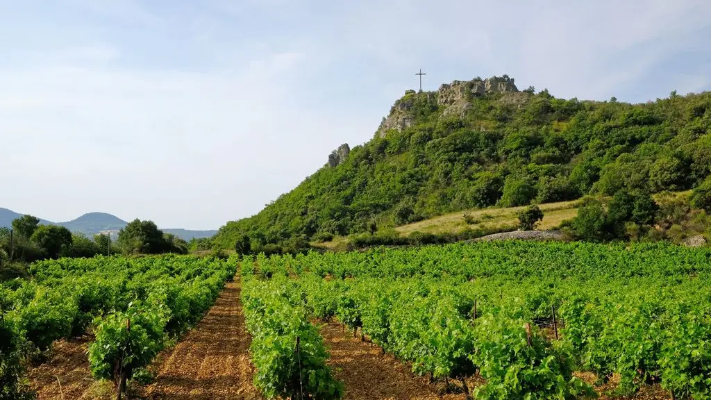 syndicat AOC terrasses du larzac -Croix de Poujols Marc Medevielle