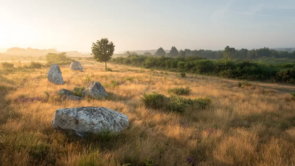 Les mégalithes et landes de Saint Just