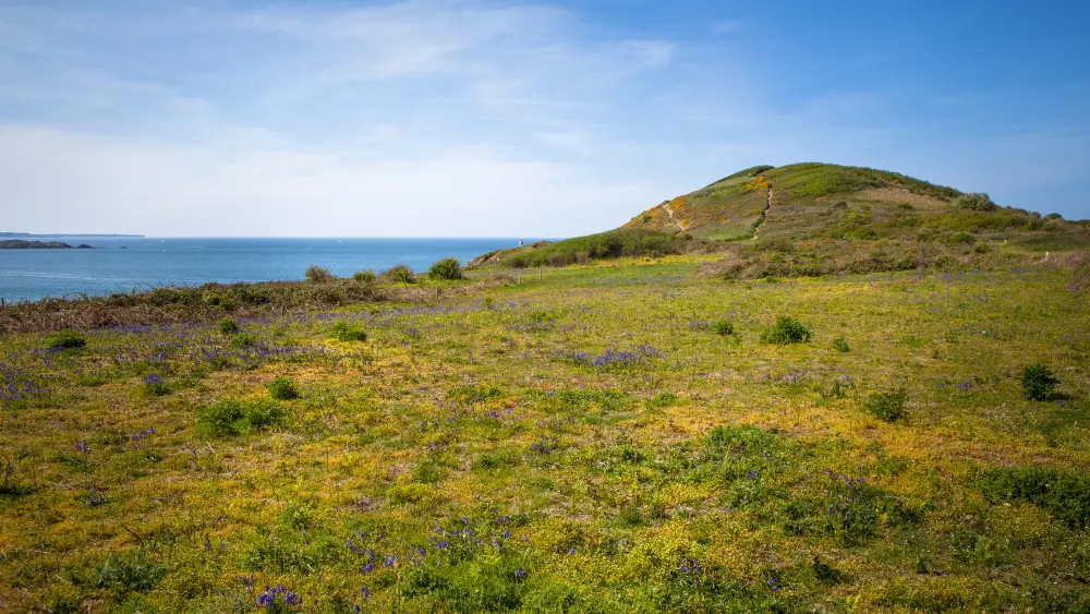 La pointe de la Garde Guérin