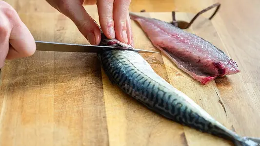 Loisirs-Atelier Retour de Pêche-Saint-Coulomb