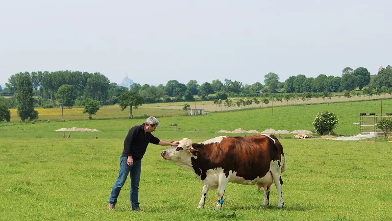 Commerces Gourmands - Ferme des Cara Meuh! - Vains