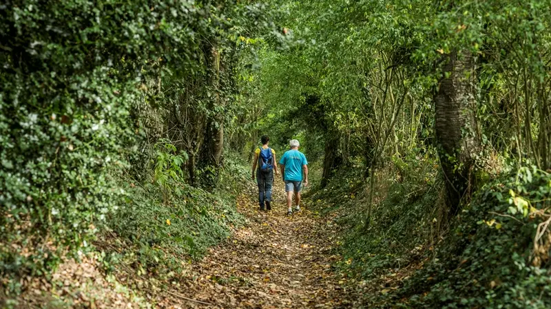 Chemin creux Trémeheuc