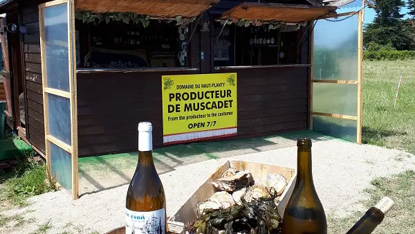 cabanemuscadet-Saint-Coulomb