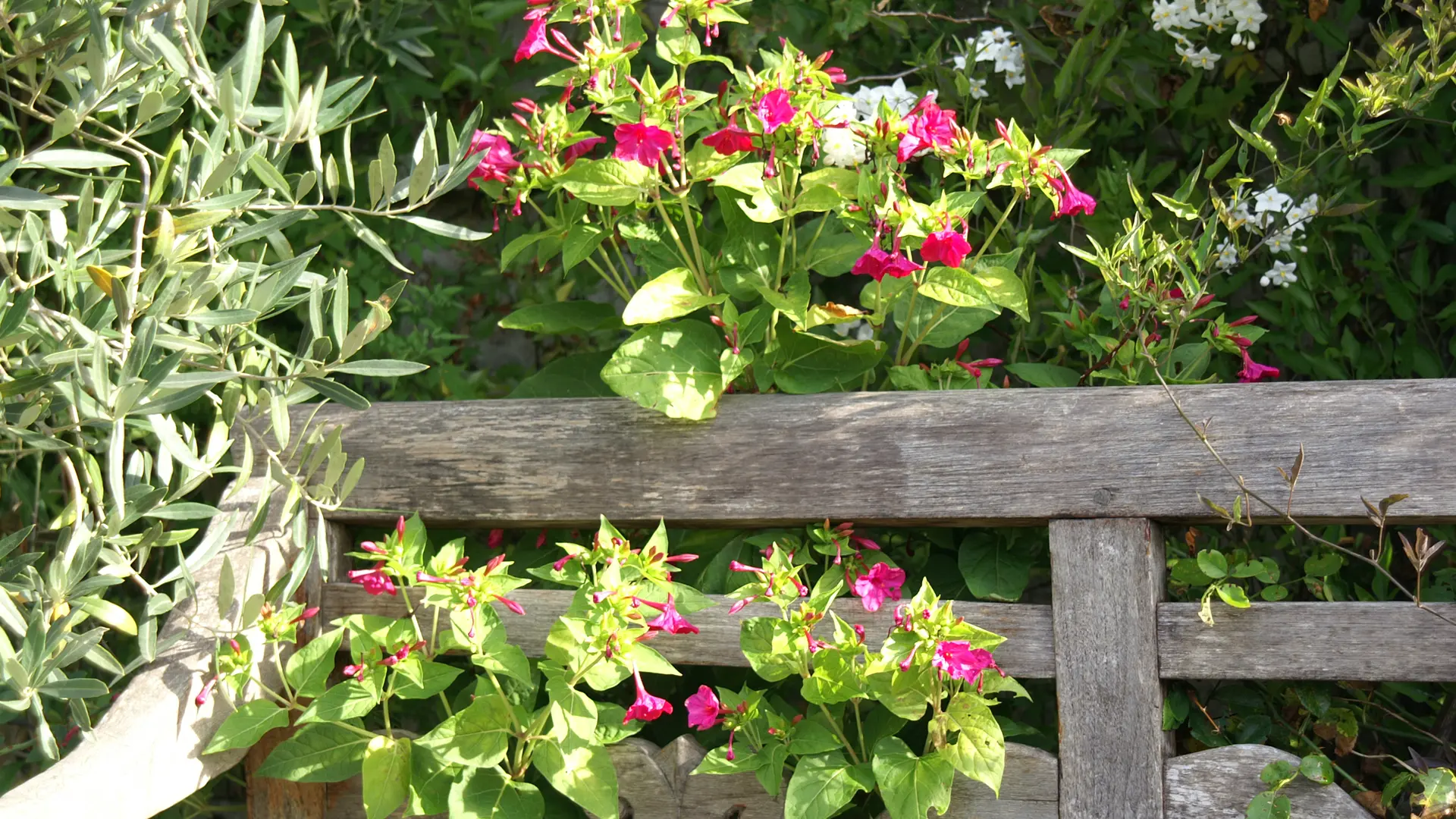Chambres d'hôtes - Giverny Cottage - St Coulomb
